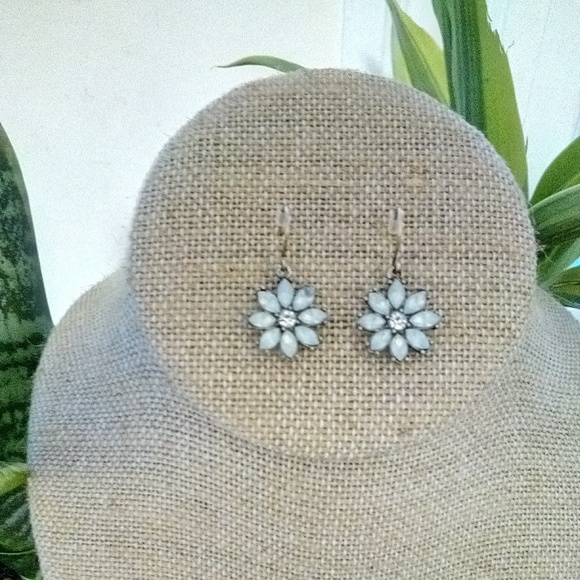 Chloe + Isabel Jewelry - Earrings
